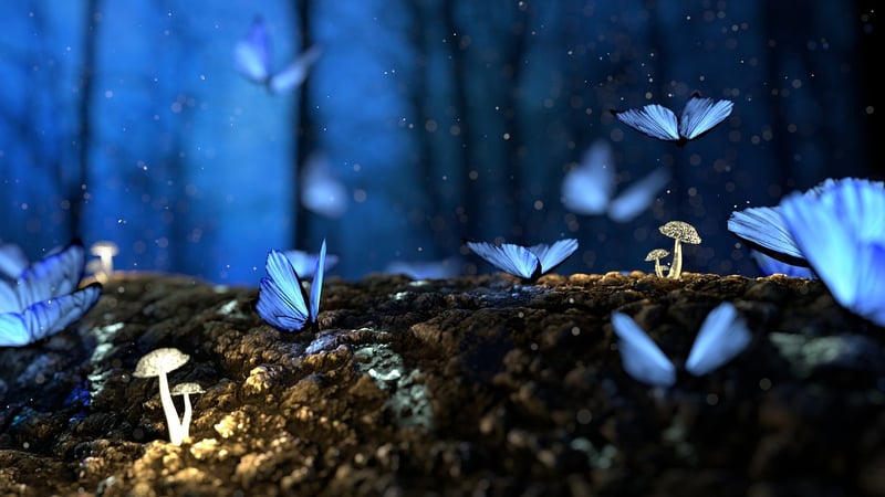 Magical Soirees