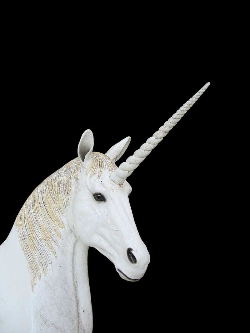 Fantasy Creature